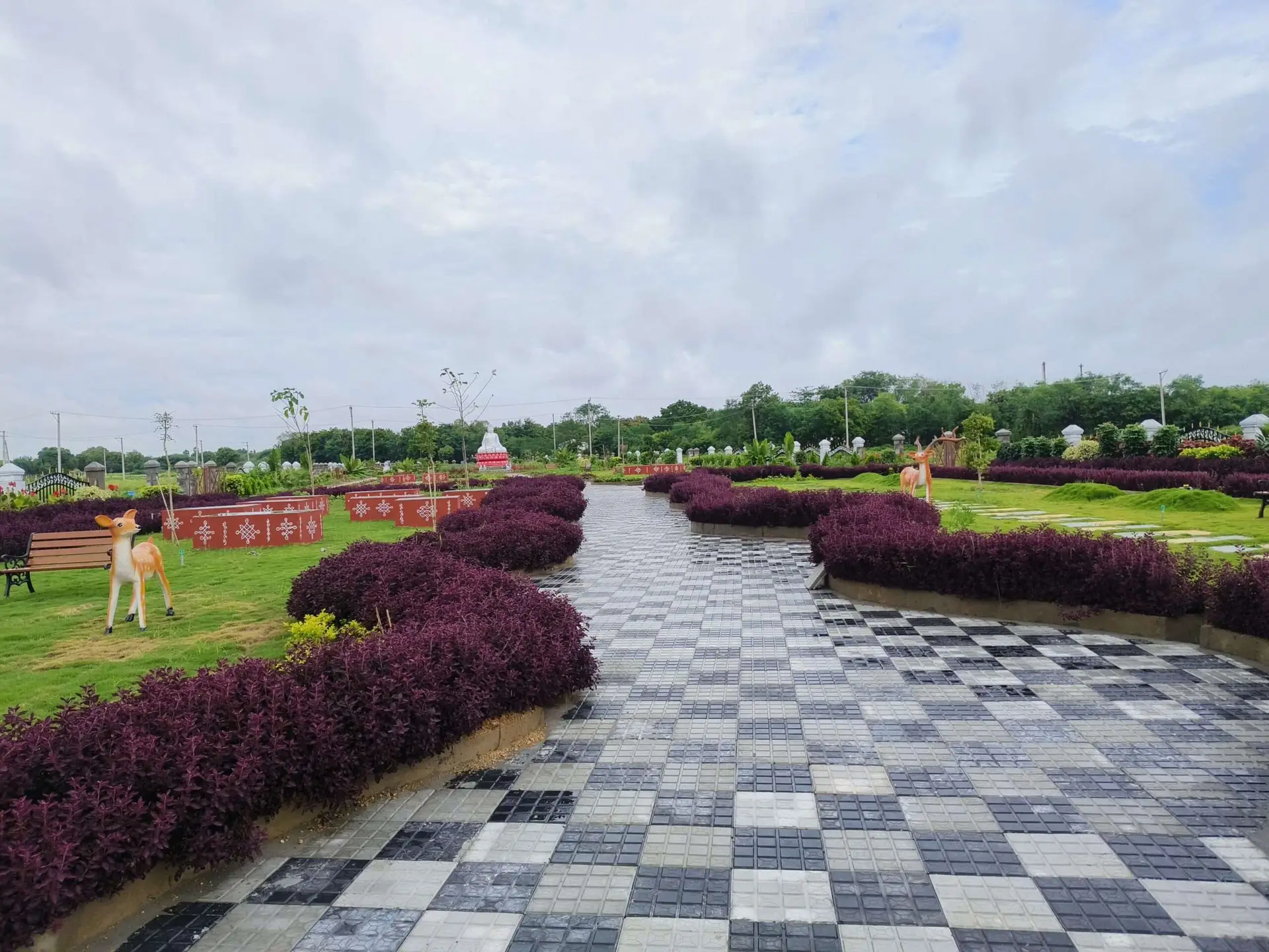 WhatsApp Image 2024-07-21 at 12.56.53 PM